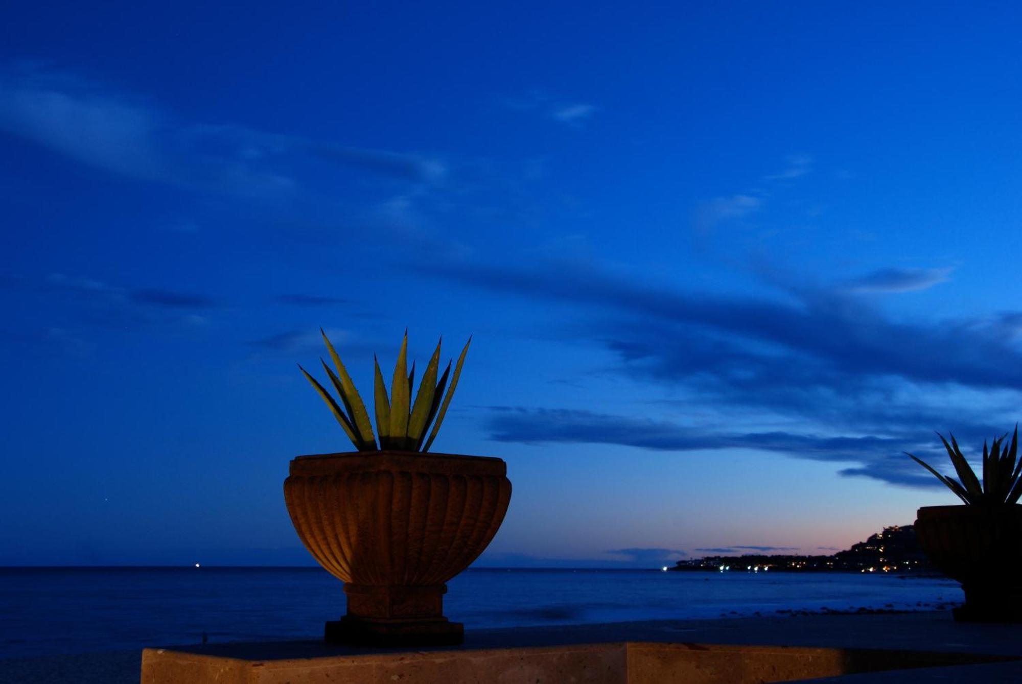 Casa Costa Azul Hotel San Jose del Cabo Bagian luar foto