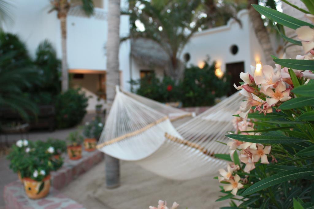 Casa Costa Azul Hotel San Jose del Cabo Bagian luar foto