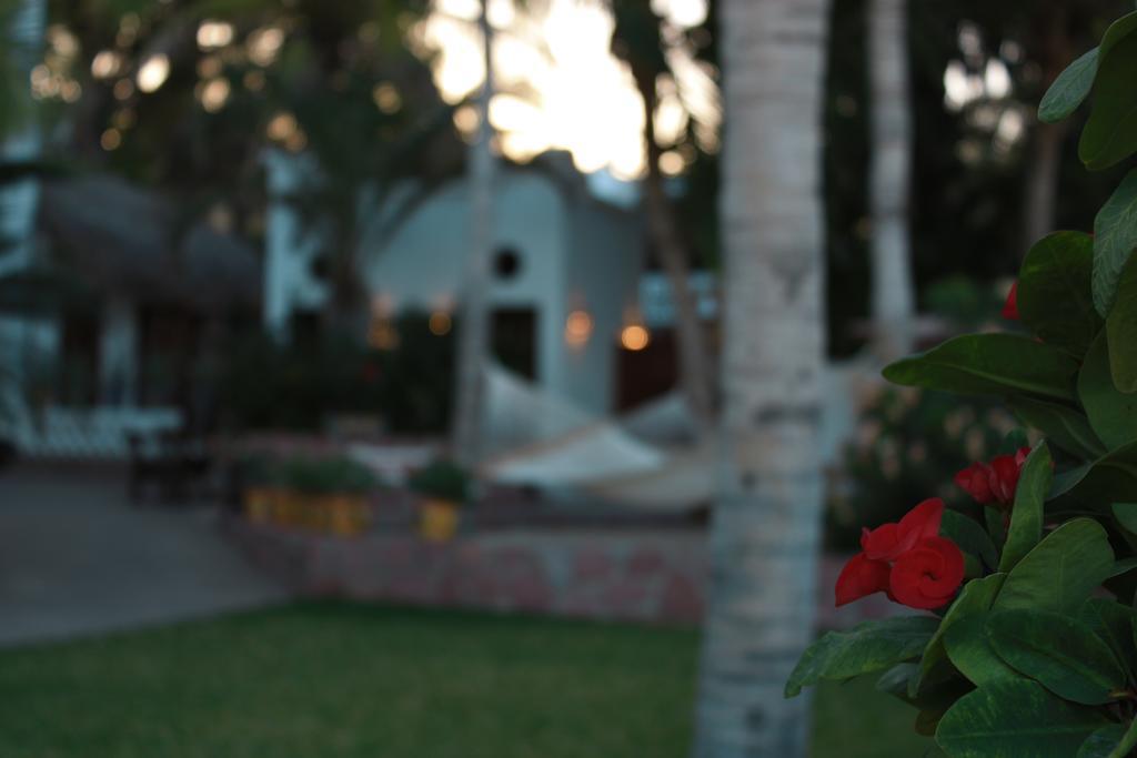 Casa Costa Azul Hotel San Jose del Cabo Bagian luar foto